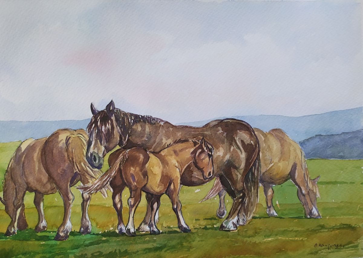 Caballos II