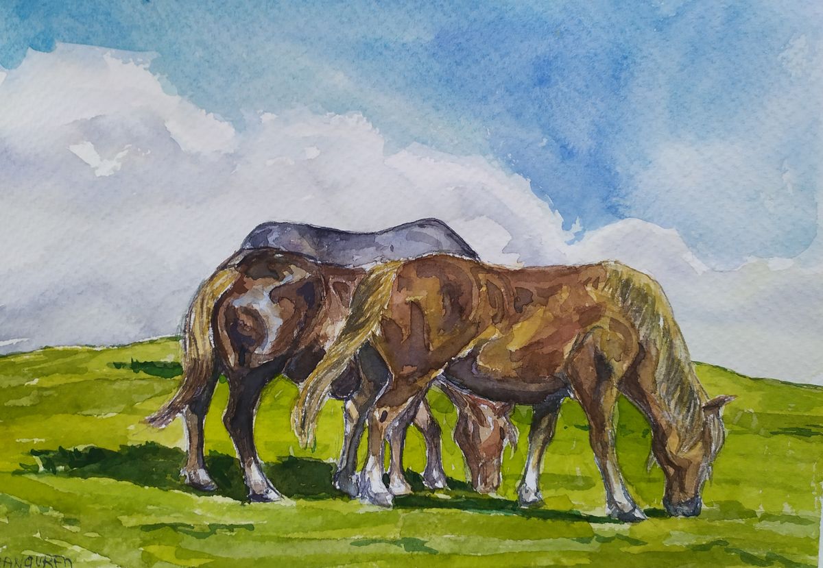 Caballos